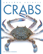 Laden Sie das Bild in den Galerie-Viewer, Erstaunliche Tiere (2022): Krabben
