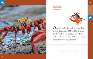 Amazing Animals (2022): Crabs