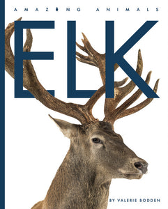 Amazing Animals (2022): Elk