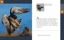Laden Sie das Bild in den Galerie-Viewer, Erstaunliche Tiere (2022): Falken

