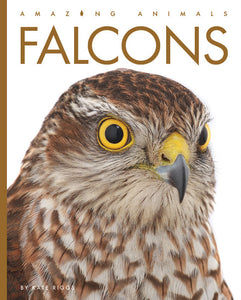 Amazing Animals (2022): Falcons