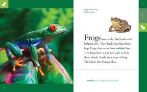 Amazing Animals (2022): Frogs