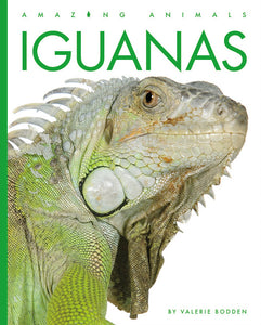 Amazing Animals (2022): Iguanas