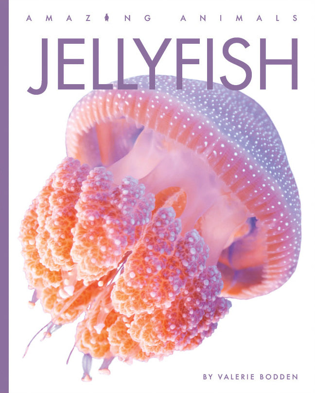 Amazing Animals (2022): Jellyfish