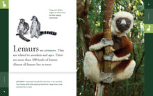 Laden Sie das Bild in den Galerie-Viewer, Erstaunliche Tiere (2022): Lemuren
