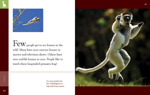 Amazing Animals (2022): Lemurs