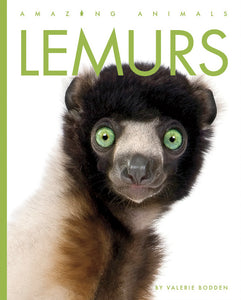 Amazing Animals (2022): Lemurs