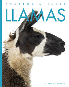 Amazing Animals (2022): Llamas
