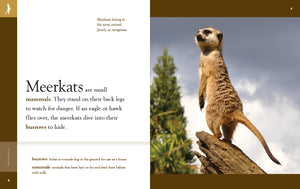 Amazing Animals (2022): Meerkats