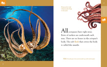 Laden Sie das Bild in den Galerie-Viewer, Erstaunliche Tiere (2022): Kraken
