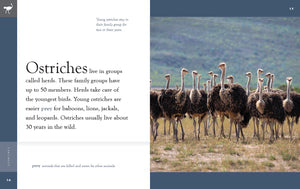 Amazing Animals (2022): Ostriches