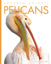 Laden Sie das Bild in den Galerie-Viewer, Erstaunliche Tiere (2022): Pelikane
