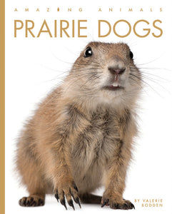Amazing Animals (2022): Prairie Dogs