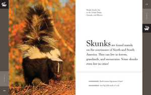 Amazing Animals (2022): Skunks