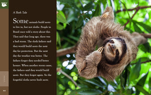 Amazing Animals (2022): Sloths