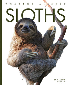 Amazing Animals (2022): Sloths