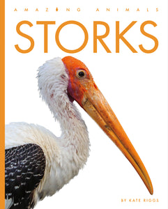 Amazing Animals (2022): Storks