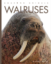 Laden Sie das Bild in den Galerie-Viewer, Erstaunliche Tiere (2022): Walrosse
