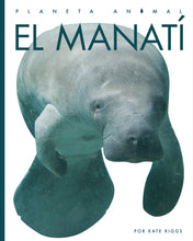Laden Sie das Bild in den Galerie-Viewer, Planeta animal (2022): El manatí
