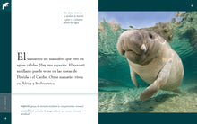 Laden Sie das Bild in den Galerie-Viewer, Planeta animal (2022): El manatí
