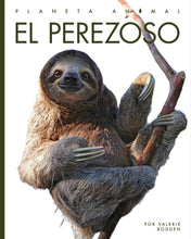 Laden Sie das Bild in den Galerie-Viewer, Planeta animal (2022): El perezoso
