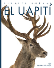 Laden Sie das Bild in den Galerie-Viewer, Planeta animal (2022): El uapití
