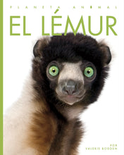 Laden Sie das Bild in den Galerie-Viewer, Planeta-Tier (2022): El lémur
