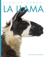 Laden Sie das Bild in den Galerie-Viewer, Planeta-Tier (2022): La Lama
