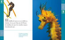 Laden Sie das Bild in den Galerie-Viewer, Planeta animal (2022): El caballito de mar
