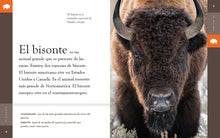 Laden Sie das Bild in den Galerie-Viewer, Planeta-Tier (2022): El Bisonte
