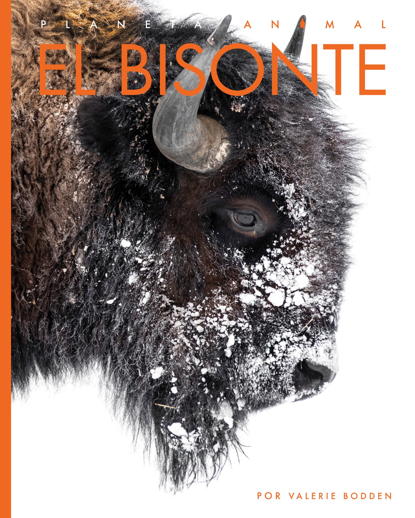 Planeta animal (2022): El bisonte