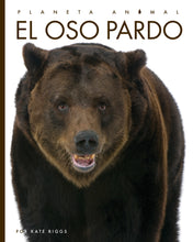 Laden Sie das Bild in den Galerie-Viewer, Planeta animal (2022): El oso pardo
