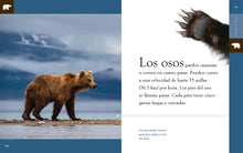 Laden Sie das Bild in den Galerie-Viewer, Planeta animal (2022): El oso pardo
