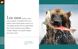 Planeta animal (2022): La morsa – The Creative Company Shop