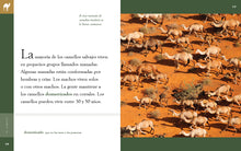 Laden Sie das Bild in den Galerie-Viewer, Planeta-Tier (2022): El Camello
