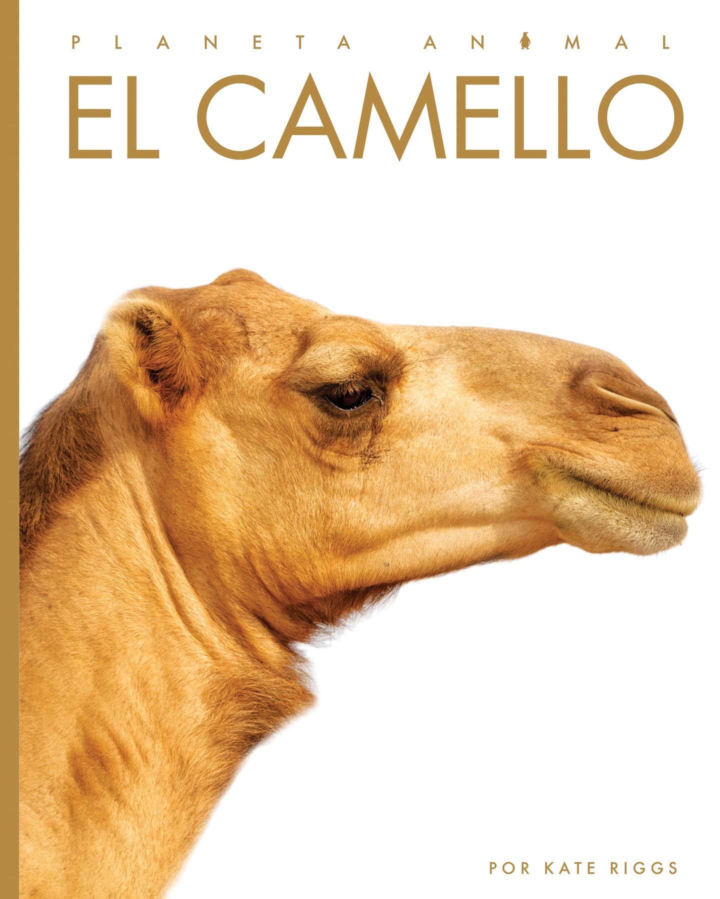 Planeta animal (2022): El camello