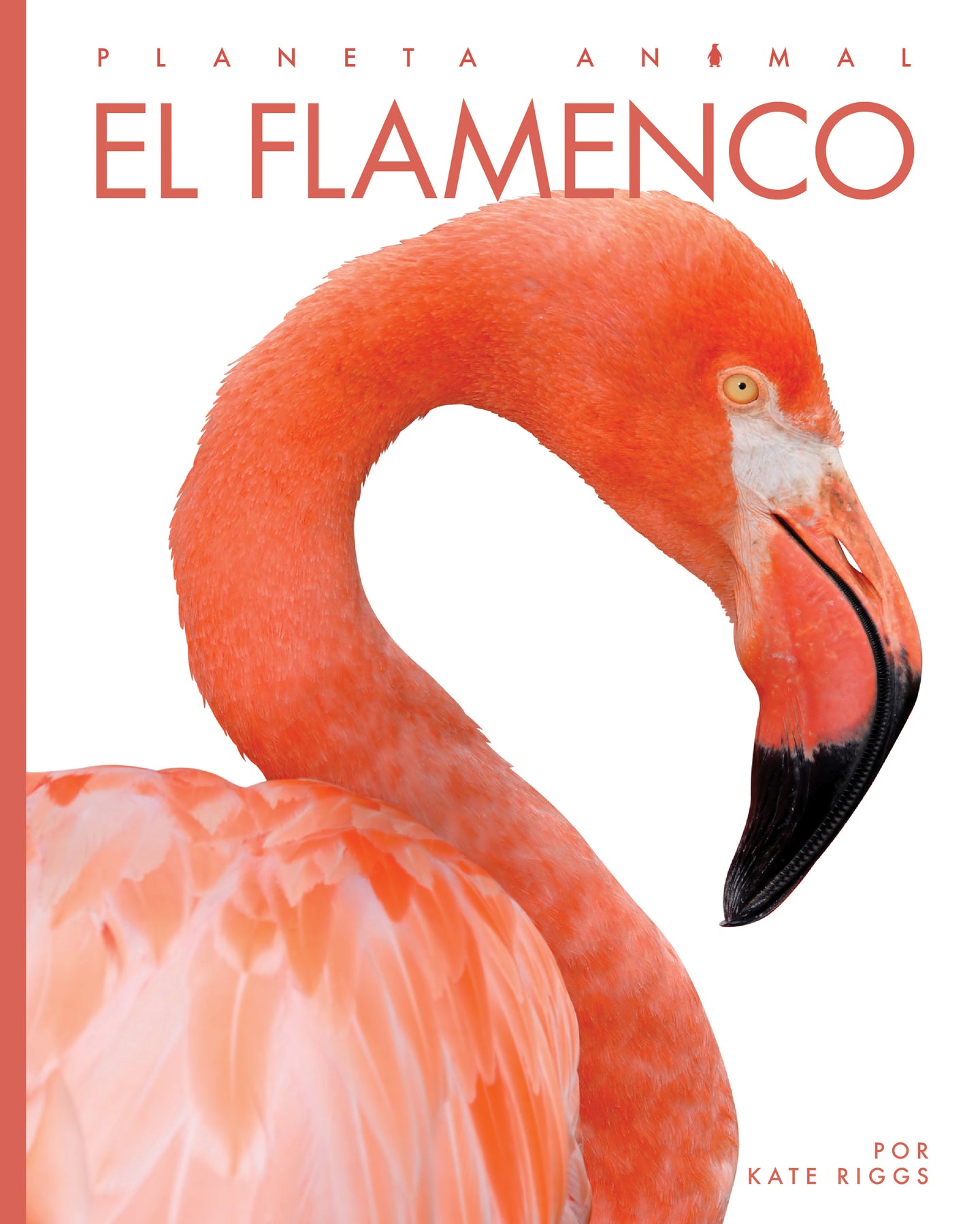 Planeta animal (2022): El flamenco