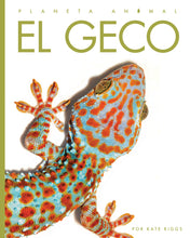 Laden Sie das Bild in den Galerie-Viewer, Planeta-Tier (2022): El geco
