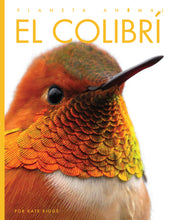 Laden Sie das Bild in den Galerie-Viewer, Planeta animal (2022): El colibrí
