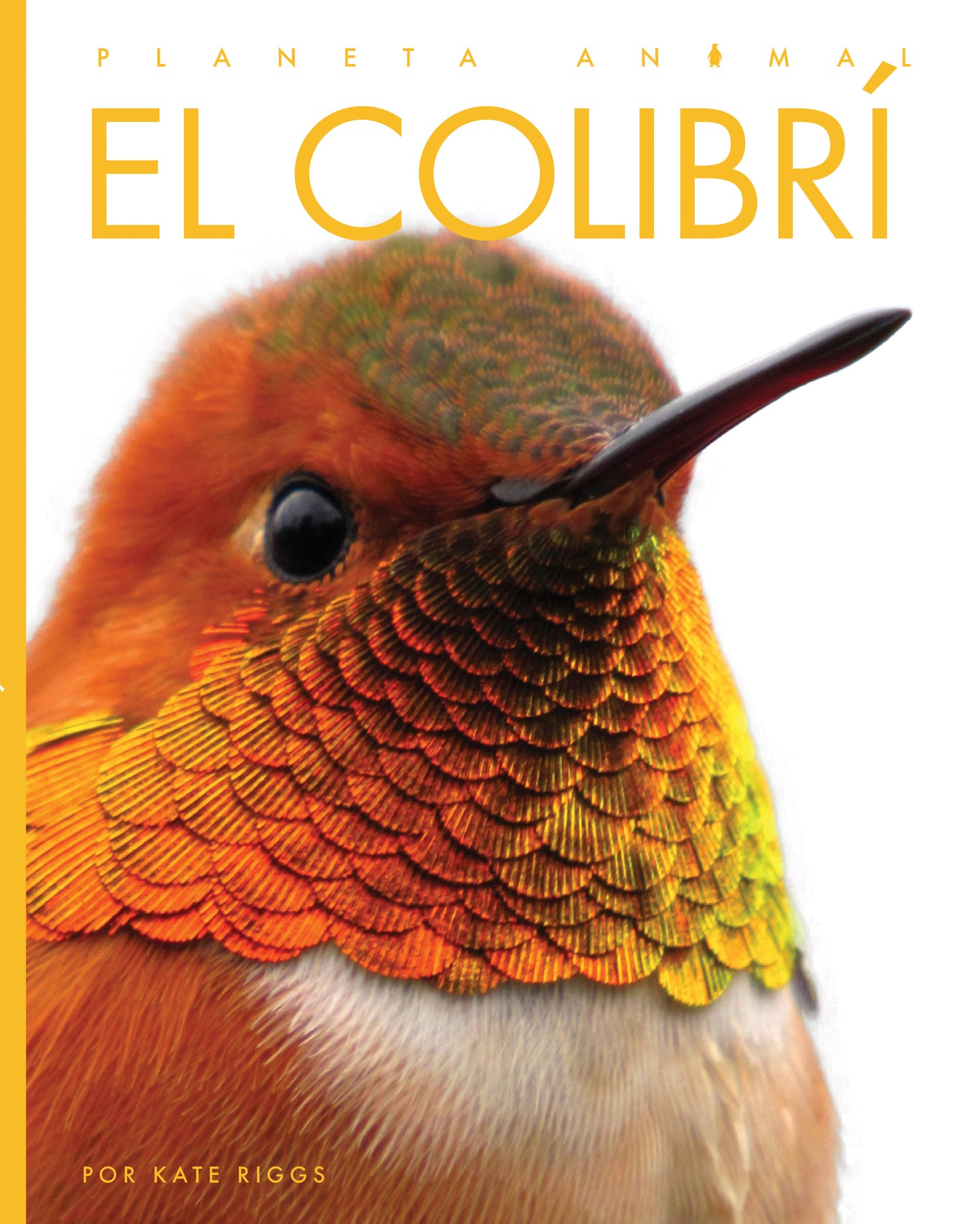 Planeta animal (2022): El colibrí