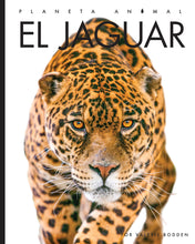 Laden Sie das Bild in den Galerie-Viewer, Planeta-Tier (2022): El Jaguar
