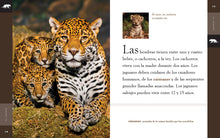 Laden Sie das Bild in den Galerie-Viewer, Planeta-Tier (2022): El Jaguar

