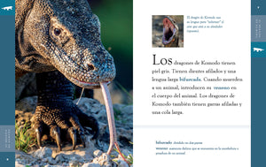 Planeta animal (2022): El dragón de Komodo
