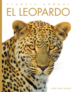 Planeta animal (2022): El leopardo