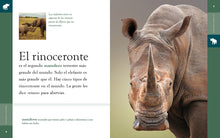 Laden Sie das Bild in den Galerie-Viewer, Planeta-Tier (2022): El rinoceronte
