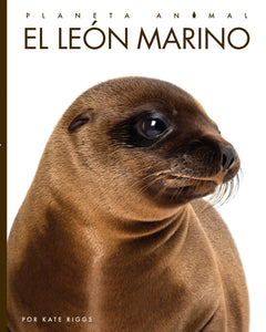 Planeta animal (2022): El león marino