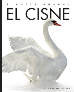 Planeta animal (2022): El cisne