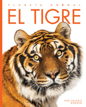 Laden Sie das Bild in den Galerie-Viewer, Planeta-Tier (2022): El Tigre
