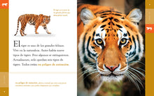 Laden Sie das Bild in den Galerie-Viewer, Planeta-Tier (2022): El Tigre
