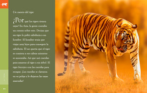 Planeta animal (2022): El tigre